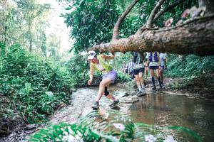 BIB: 
                            <button type="button" onclick="openModal(25455073)" class="btn btn-primary btn-sm float-right btn-popup" data-toggle="modal" data-target=".modal-high-quality">
                        <i class="fas fa-shopping-cart"></i> Add to Cart
                    </button>
                                            <button type="button" onclick="isThisMe(25455073, true)" class="btn btn-success btn-sm float-right btn-popup btn-isme hidden" data-toggle="tooltip" data-placement="bottom" title="นี่คือรูปของคุณใช่ไหม คลิกที่นี่เพื่อเอาเข้าอัลบั้ม">
                        <i class="fas fa-plus"></i> Add to album
                    </button>
                    <button type="button" onclick="isThisMe(25455073, false)" class="btn btn-warning btn-sm float-right btn-popup btn-isnotme hidden">
                        <i class="fas fa-ban"></i> Remove from album
                    </button>